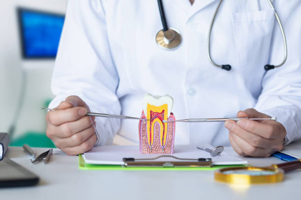 Best 24-Hour Emergency Dentist in New Mford, IL